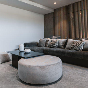 Home Cinema & Bar