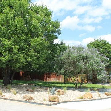 Austin Native Landscaping - Portfolio - Vitex, Century Plant Agave