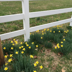 Fence Options - Products