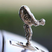 Mahmoud Ibrahem's photo