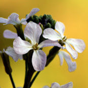 Marta Ray's photo