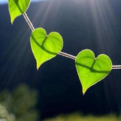 Annie Jutras's photo