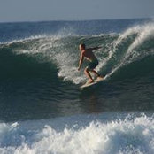 Yan Gurevich's photo