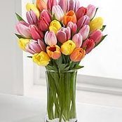 Elaine Boyd's photo