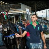 Darren Cauchi's photo