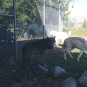 Kristi Loff's photo