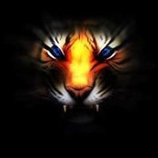 Thomas Greathouse's photo