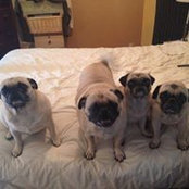 John Leatherman's photo