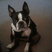 Beverly Nevils's photo