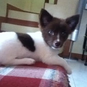 Foto de nydee