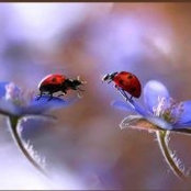 Annette Stover's photo