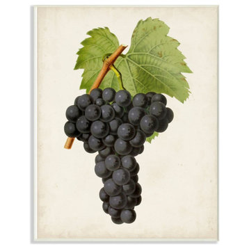 Vintage Fruit Grape Painting, 10"x15"