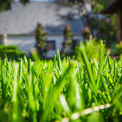 Power Washing - Products