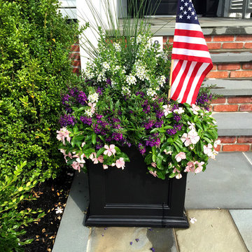 Flower Boxes/Pots/Windows