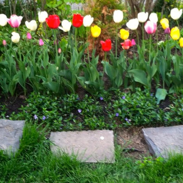 Colorful linear garden beds
