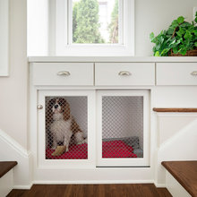 Dog space