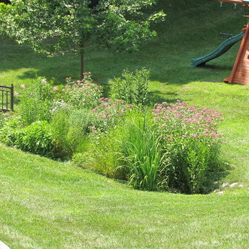Compilation of Rain Garden Projects