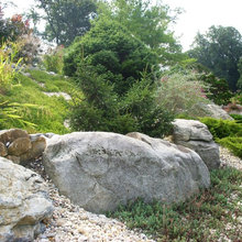 Landscape Ideas