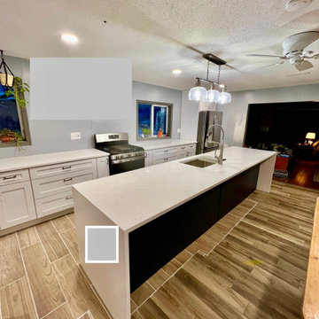 Full Kitchen Remodel