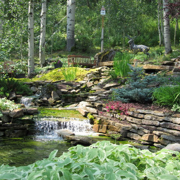 Creek Bed