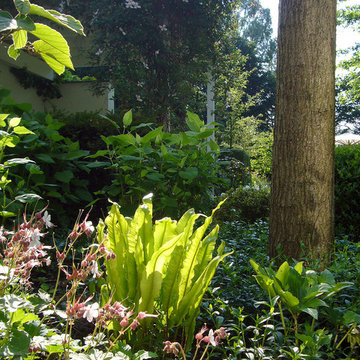 Privatgarten 01