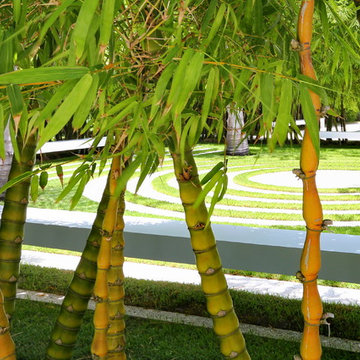 Garden Dialogues: Sarasota, March 28