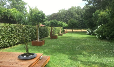 Kleine Riesen: 7 Bäume für den Minigarten