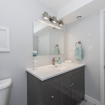 Glenview Heights Basement Apartment Conversion and Whole House Renovation