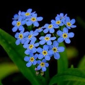 Jo Davies's photo