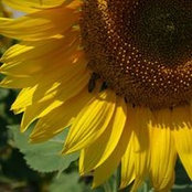 Natalia Andryuschenko's photo