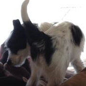 Janis Libonati's photo