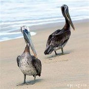 Maurie MacCormick Quarles's photo