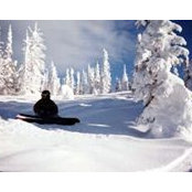 Shane Robins's photo