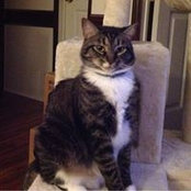 Lydia Irving's photo