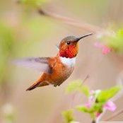 Sylvia Gutierrez's photo