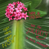 Wendy Welch's photo