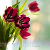 Foto von Sumaya Arafat