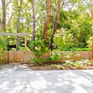 Backyard Koi Pond-James Island