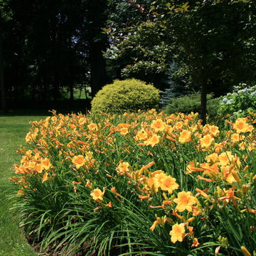 New Canaan Gardens