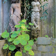 exteriors ideas