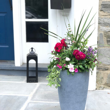 Summer Containers