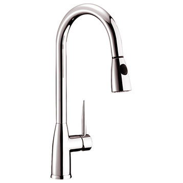 Dowell Series 8002/005 Single Handle Kitchen Faucet/Sprayer, Brushed Nickel
