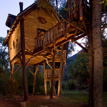 Tree Houses