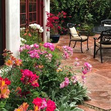 Patio/backyard
