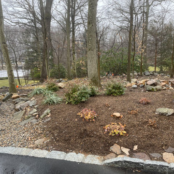 Darien - Shade Garden Enhancements