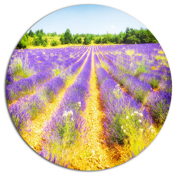 Fantastic Lavender Field Of France, Floral Disc Metal Artwork, 11"