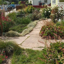AVL Yard solutions