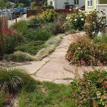 Making Use of Santa Cruz Real Estate