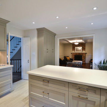 Kitchen Remodel - North York