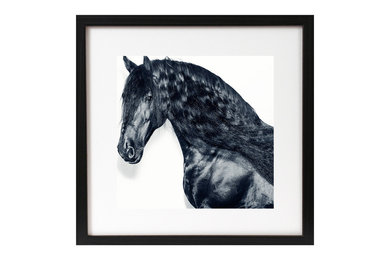James Houston Design - Horse Series (print only)